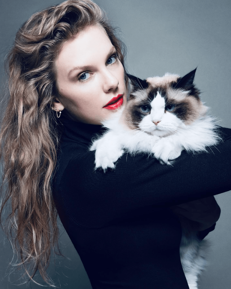 “Childless Cat Lady” Taylor Swift Endorses Kamala